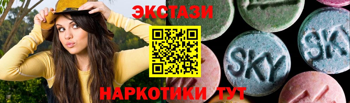 Ecstasy Philipp Plein Новочебоксарск