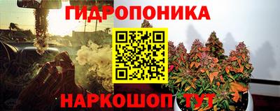 a pvp Гусиноозёрск